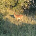 Photo taken by Crystall P