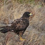 Photo taken by Natascia V