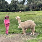 Photo taken by Saba D