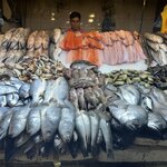 Photo taken by Amanda F