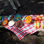 Photo taken by Daisy B