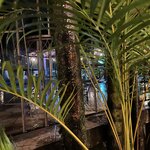 Photo taken by Joyce C