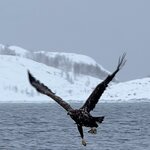 Photo taken by Andrew S