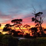 Photo taken by Anne F