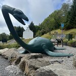 Photo taken by Tina D