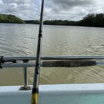 Photo taken by Dana F