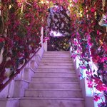 Photo taken by Oksana A