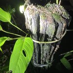 Photo taken by Alexia M