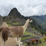 Photo taken by Alyssa R