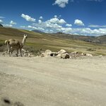 Photo taken by Canopy R