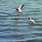 Photo taken by Michael G