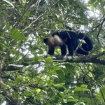 Photo taken by Lauren A