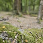 Photo taken by Shelly N