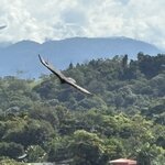 Photo taken by Ora Y