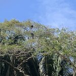 Photo taken by Karen P