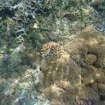 Photo taken by Dixie W