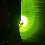 Photo taken by Tiphanny C