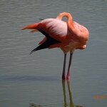 Photo taken by Jennifer Z