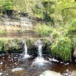 Photo taken by David L