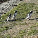 Photo taken by lynn o