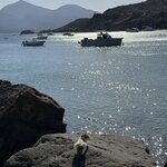 Photo taken by Nan O