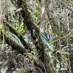 Photo taken by Breann B