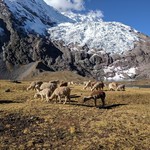 Ausungate | Photo taken by Mark F