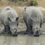 Photo taken by Linette B