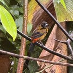 Photo taken by Ben B