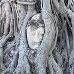 Photo taken by sarah p