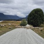 Photo taken by Shelly N