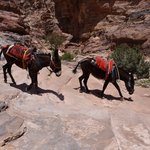 Photo taken by Sara P