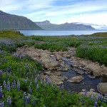 Near Seydisfjordur | Photo taken by Eva S