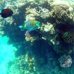 Photo taken by Maryann S