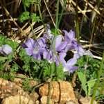 Photo taken by alex p