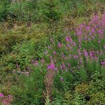 Photo taken by Tamara N