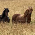 Photo taken by Jake B