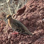 Photo taken by Gary W