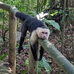 Photo taken by Jacob S