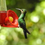 Photo taken by Mary D