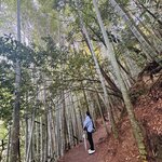 Photo taken by Cathy V