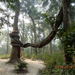 Photo taken by Wayne D