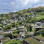 Photo taken by Tina N