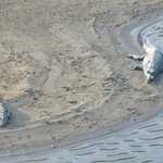 Photo taken by Cayden S