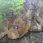 Photo taken by Fuad A