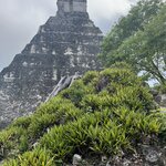 Photo taken by Michael E