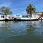 Photo taken by Pam N