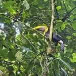 Photo taken by Touraj K