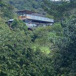 Photo taken by Traci V