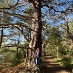 Photo taken by Danielle P